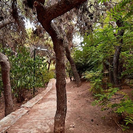 Апартаменты Myth2 - Hike Around Ancient Panathenaic Stadium Near Metro With View Of Big Park Экстерьер фото