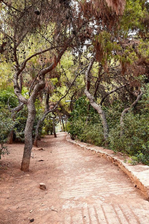 Апартаменты Myth2 - Hike Around Ancient Panathenaic Stadium Near Metro With View Of Big Park Экстерьер фото